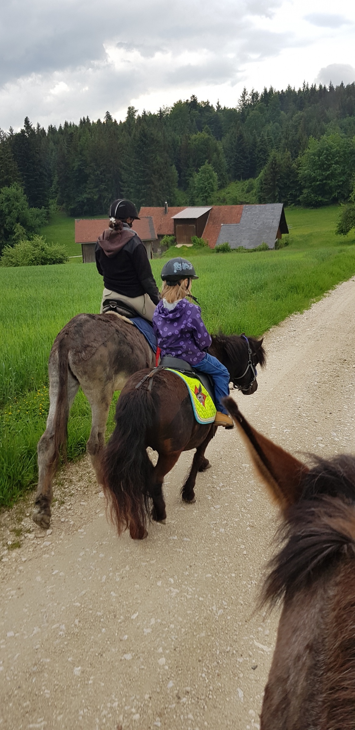 Reitstunde