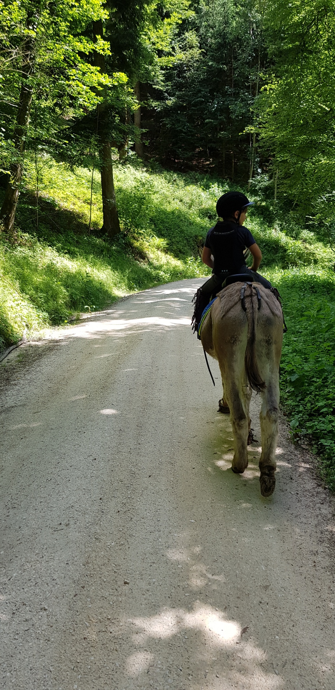 Reitstunde