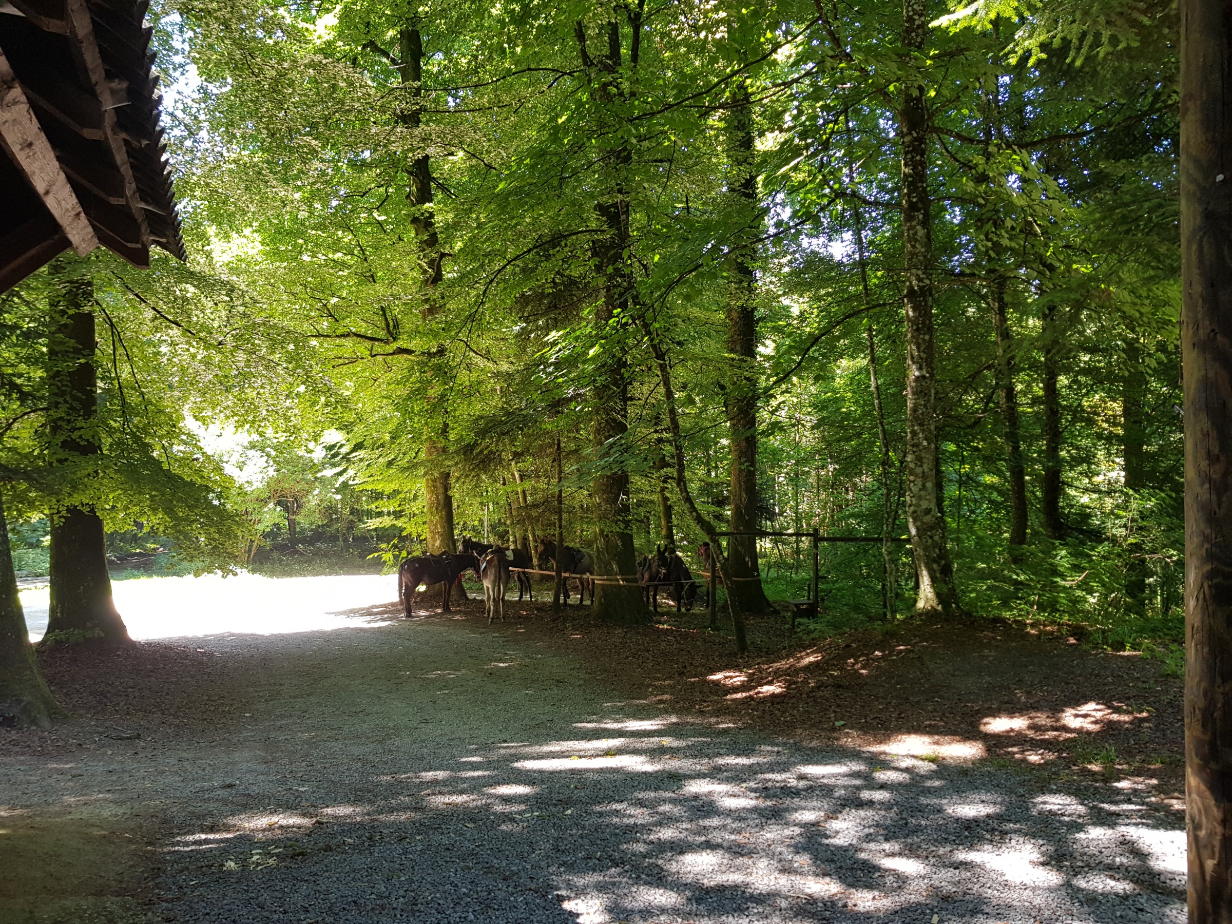 Kundenausflug